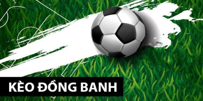 ty-le-cuoc-cua-keo-dong-banh-thuong-khong-thay-doi-nhieu